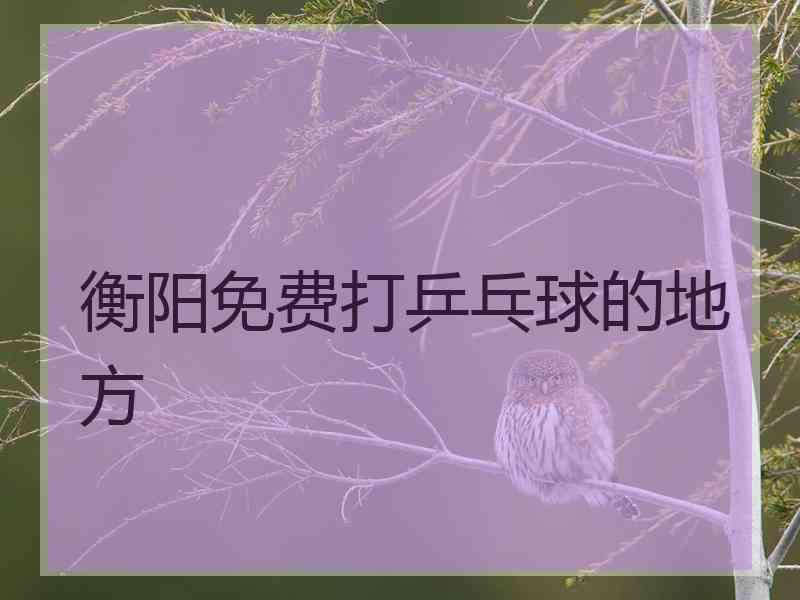 衡阳免费打乒乓球的地方