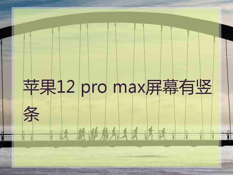 苹果12 pro max屏幕有竖条