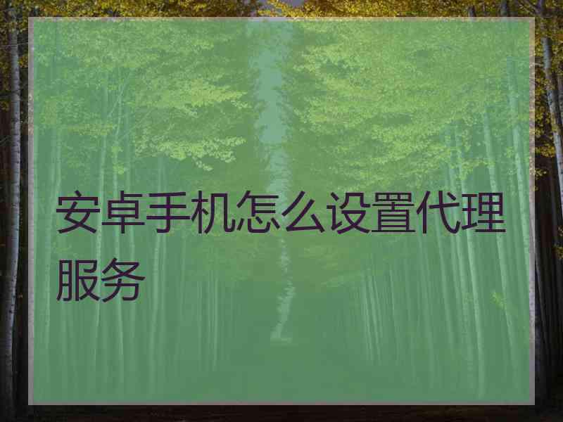 安卓手机怎么设置代理服务