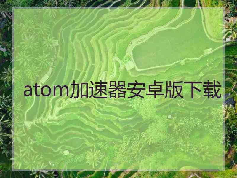 atom加速器安卓版下载