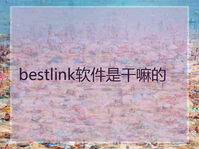 bestlink软件是干嘛的