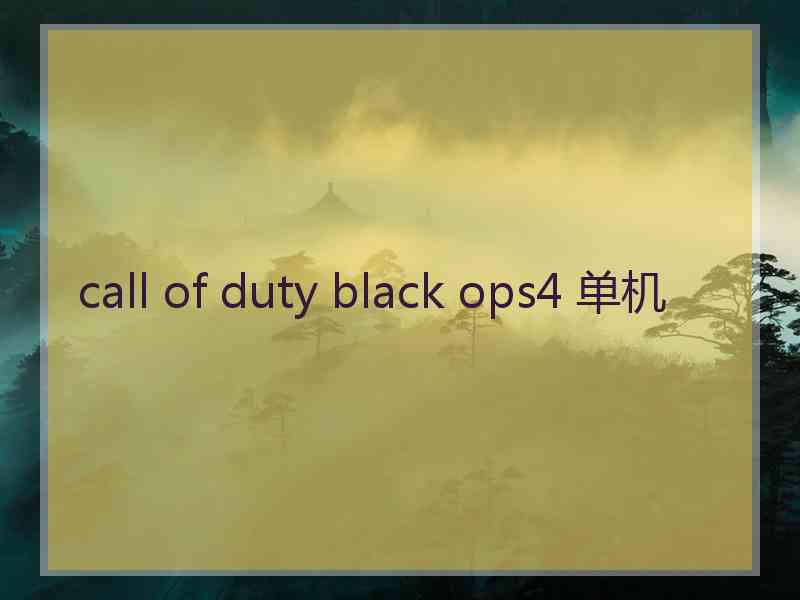 call of duty black ops4 单机