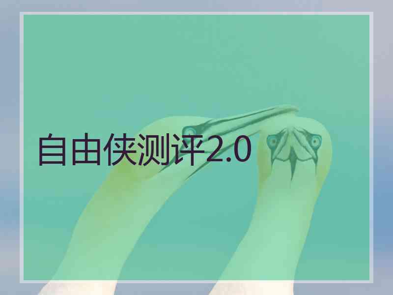 自由侠测评2.0