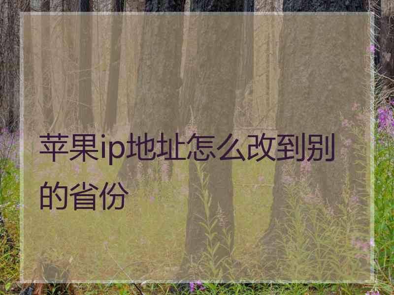 苹果ip地址怎么改到别的省份