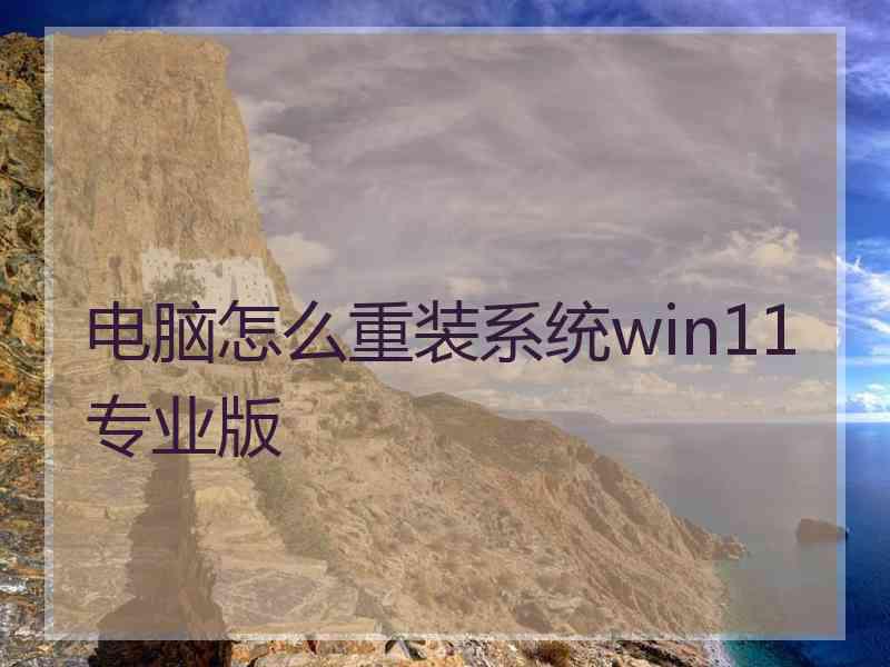 电脑怎么重装系统win11专业版