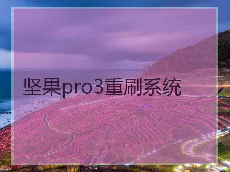 坚果pro3重刷系统