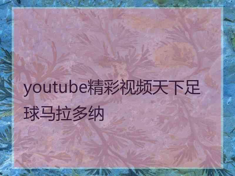 youtube精彩视频天下足球马拉多纳