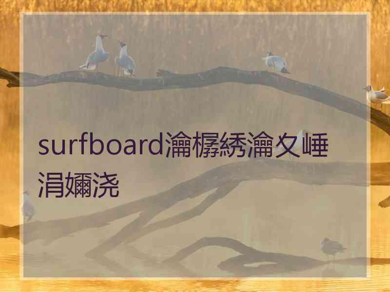 surfboard瀹樼綉瀹夊崜涓嬭浇