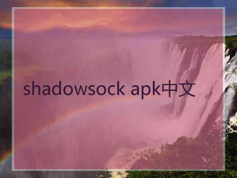 shadowsock apk中文