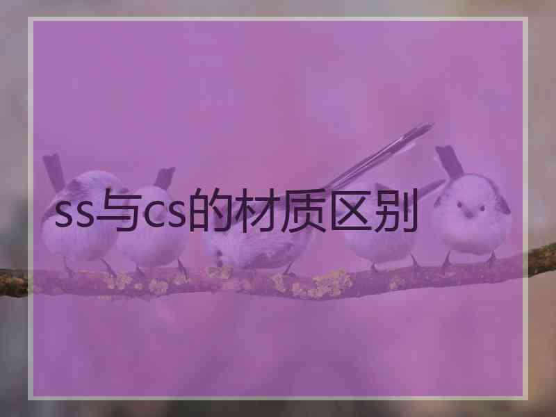 ss与cs的材质区别