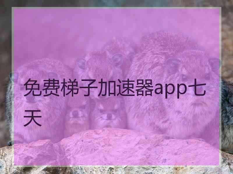 免费梯子加速器app七天