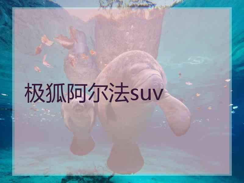 极狐阿尔法suv