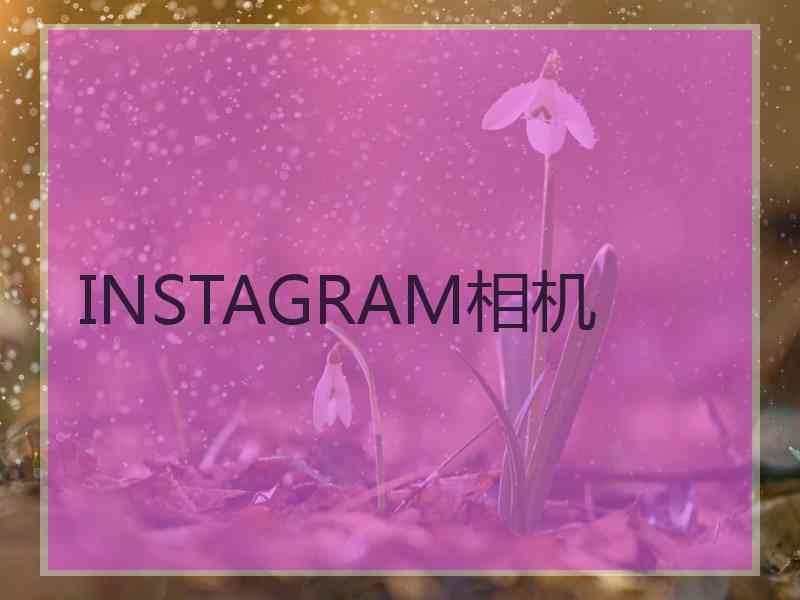 INSTAGRAM相机