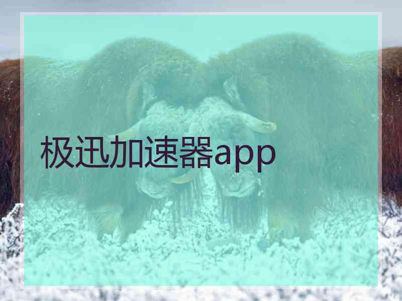 极迅加速器app