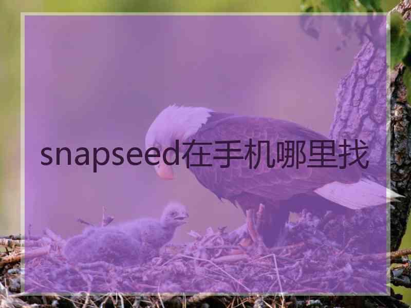 snapseed在手机哪里找