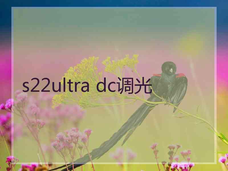 s22ultra dc调光