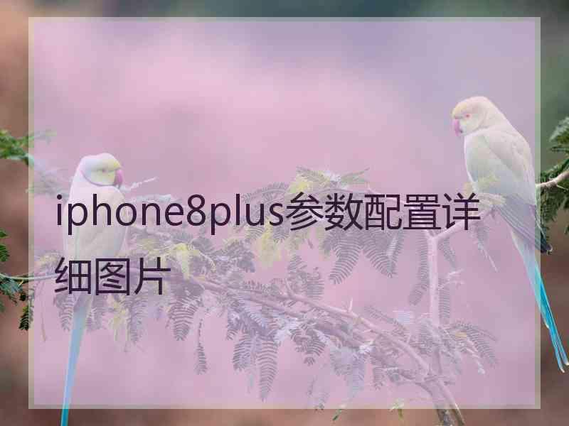 iphone8plus参数配置详细图片