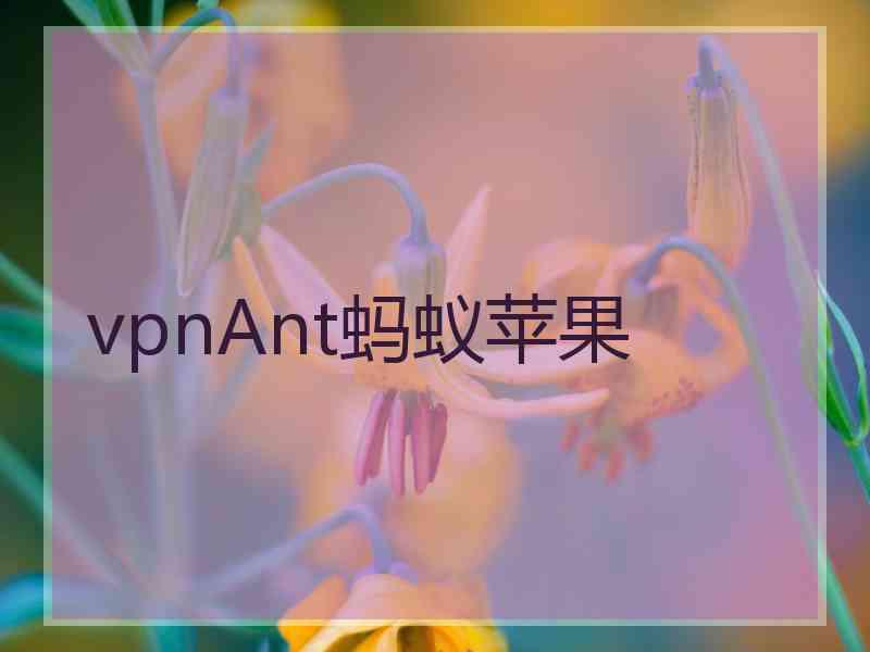 vpnAnt蚂蚁苹果