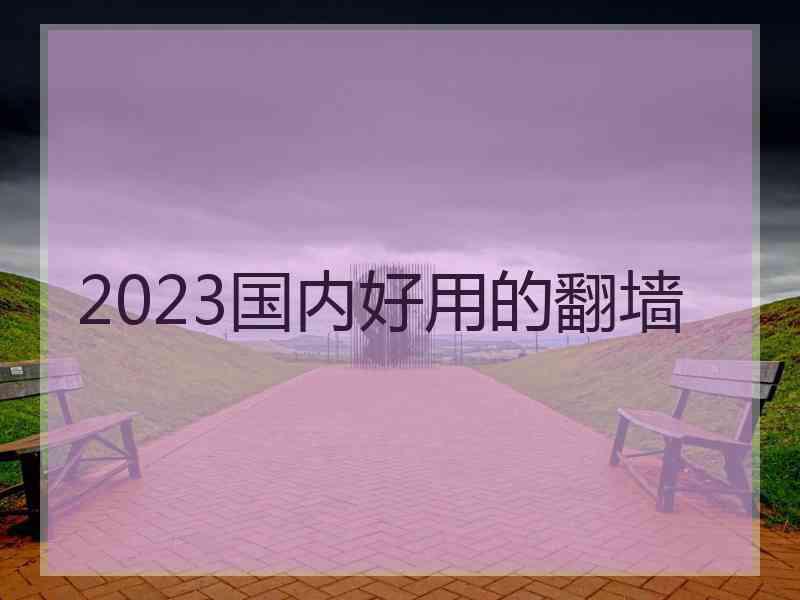 2023国内好用的翻墙