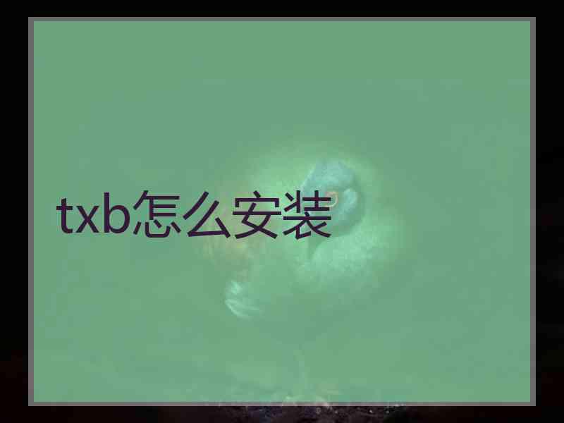 txb怎么安装