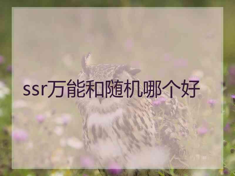 ssr万能和随机哪个好