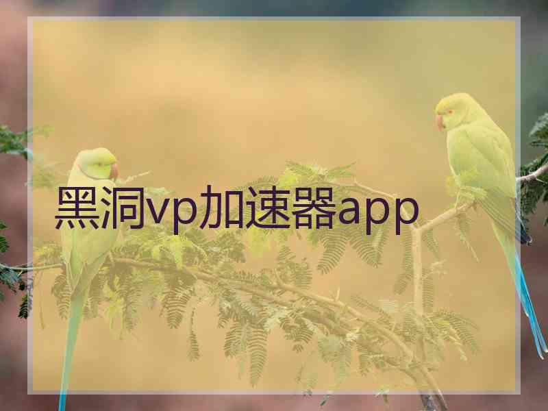 黑洞vp加速器app