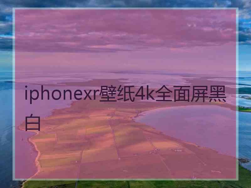 iphonexr壁纸4k全面屏黑白