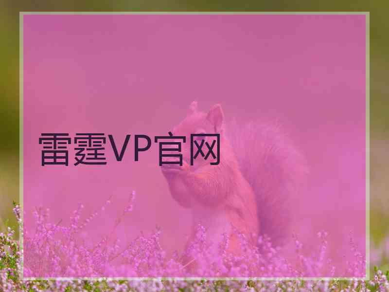 雷霆VP官网