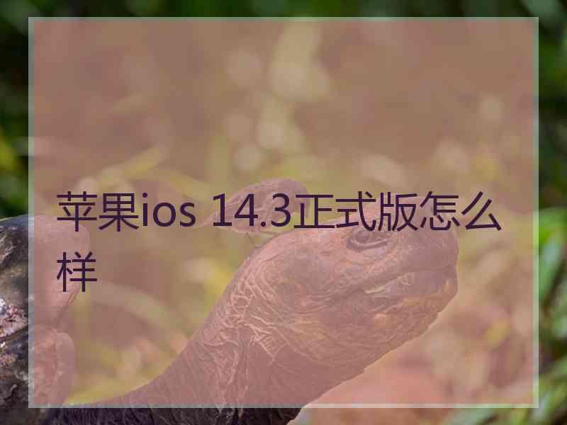 苹果ios 14.3正式版怎么样