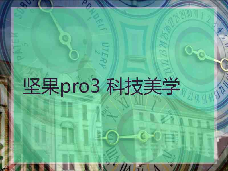 坚果pro3 科技美学