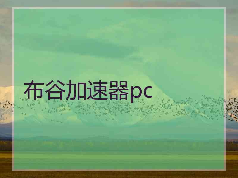 布谷加速器pc