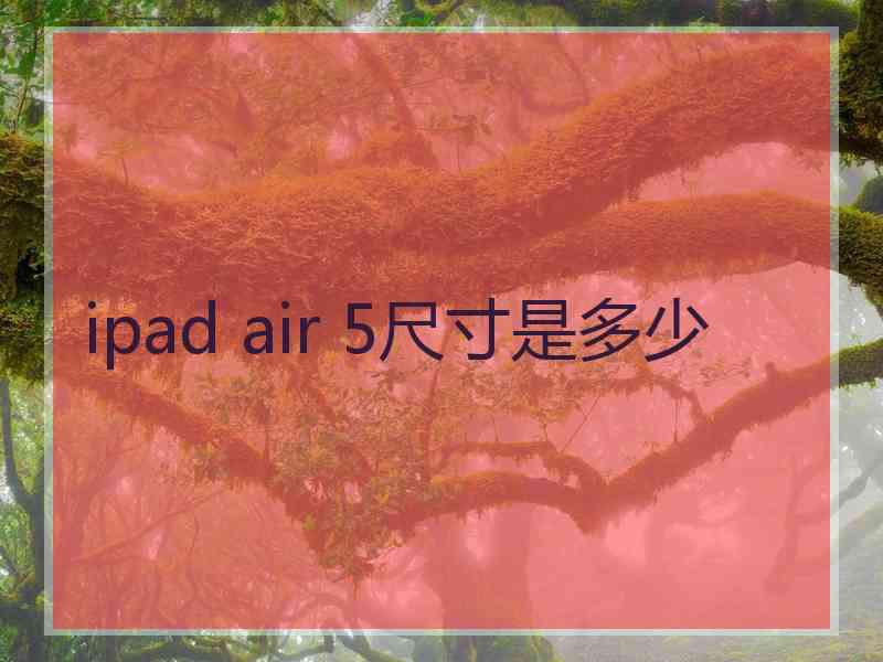 ipad air 5尺寸是多少