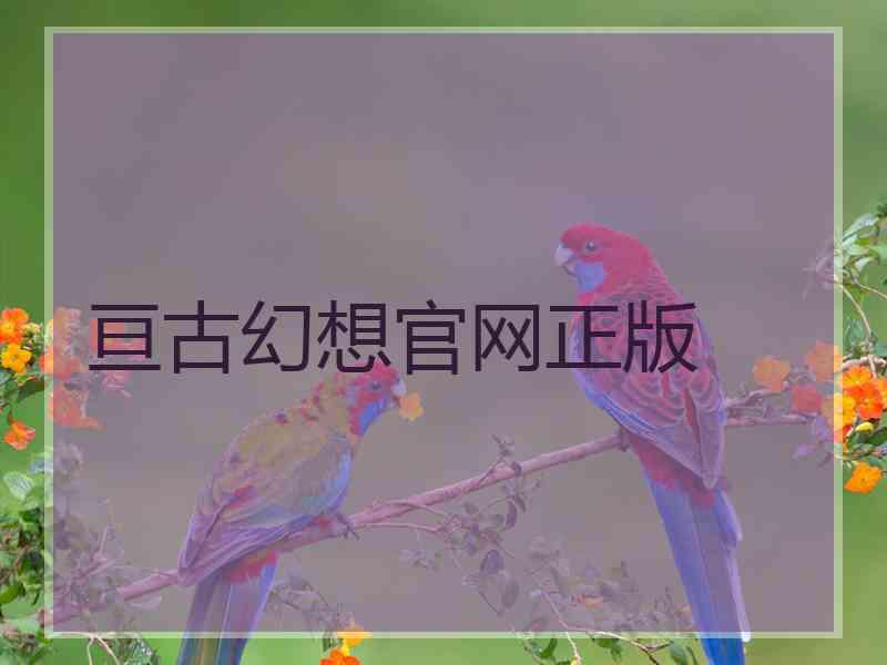 亘古幻想官网正版