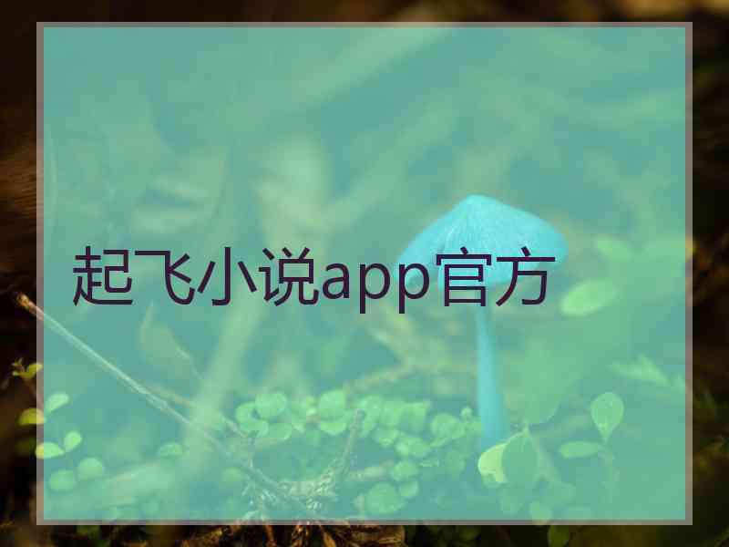 起飞小说app官方