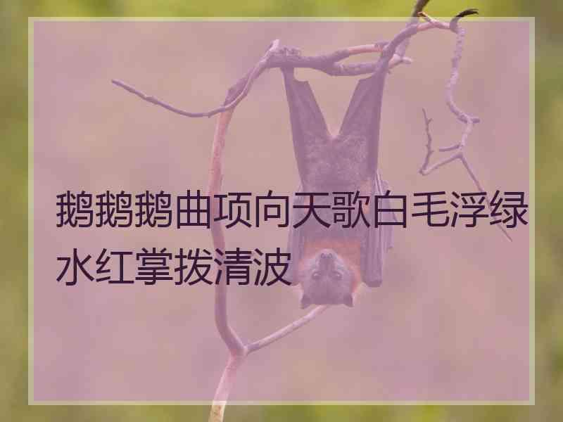 鹅鹅鹅曲项向天歌白毛浮绿水红掌拨清波