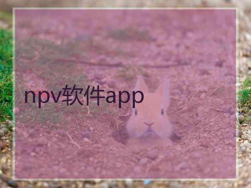 npv软件app