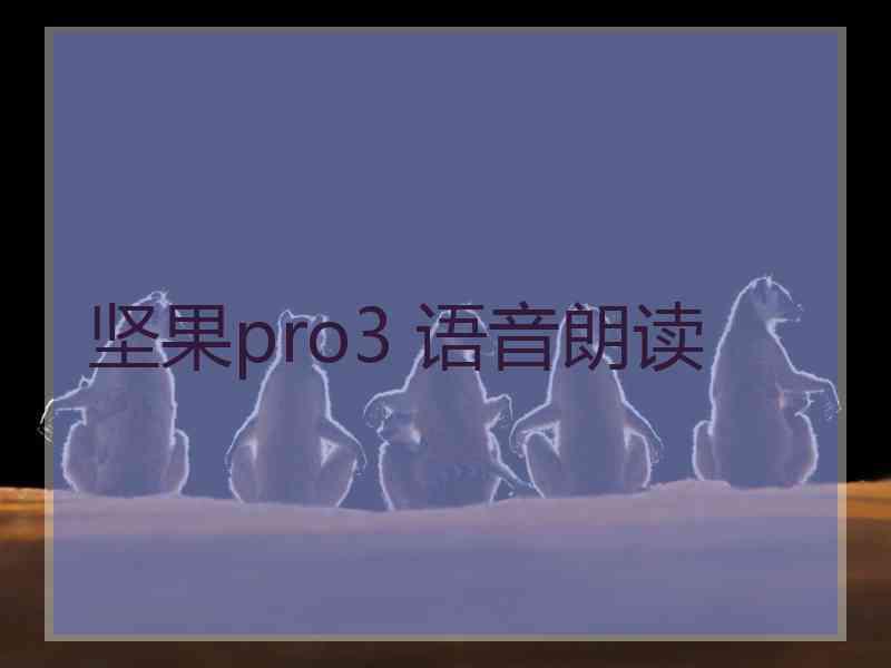 坚果pro3 语音朗读