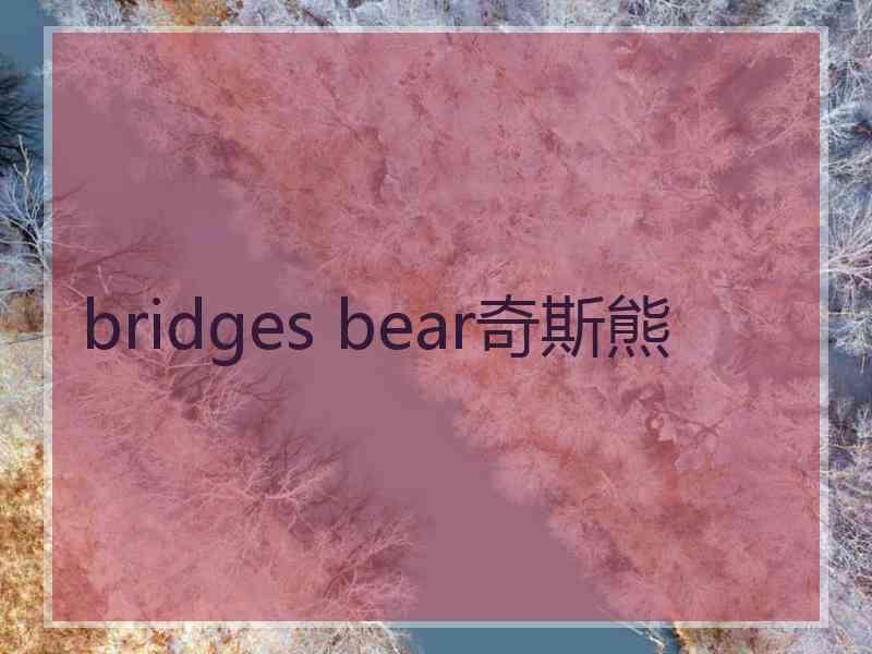 bridges bear奇斯熊