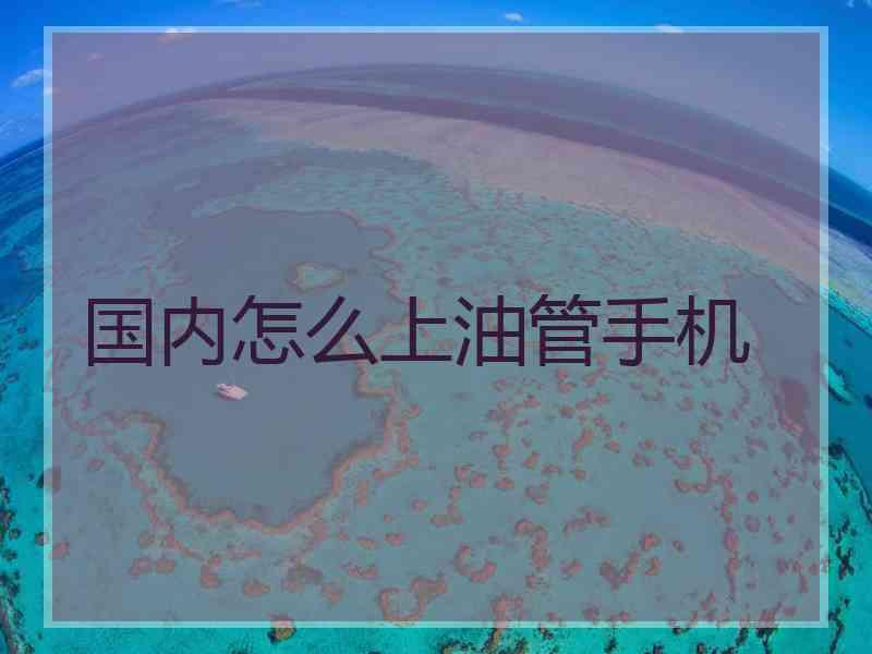 国内怎么上油管手机