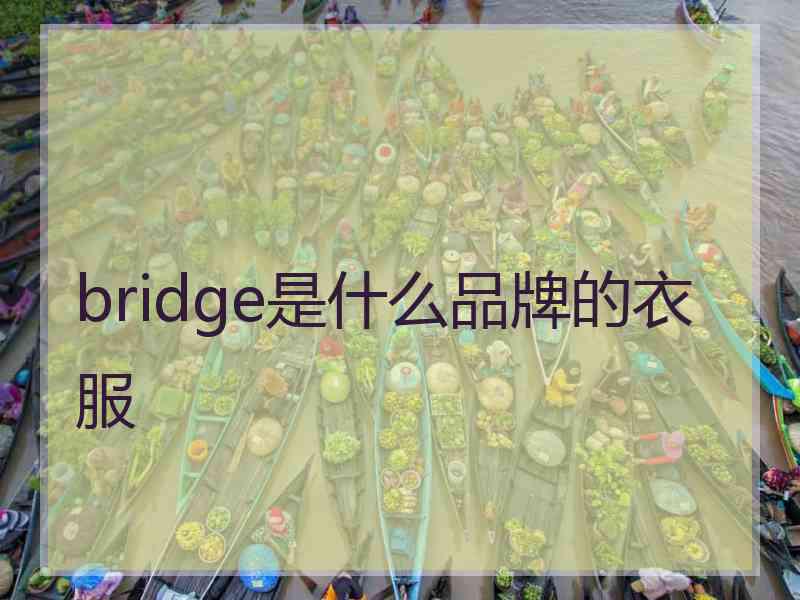 bridge是什么品牌的衣服