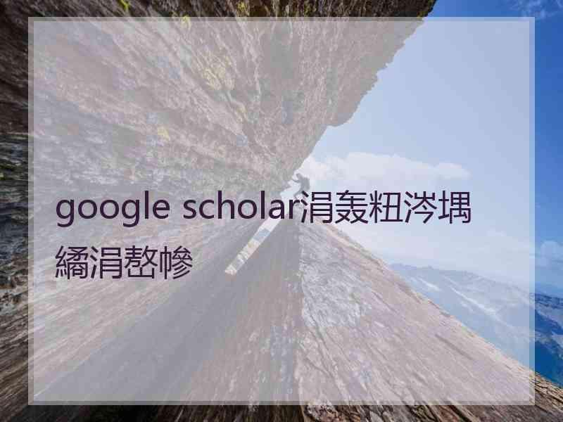 google scholar涓轰粈涔堣繘涓嶅幓