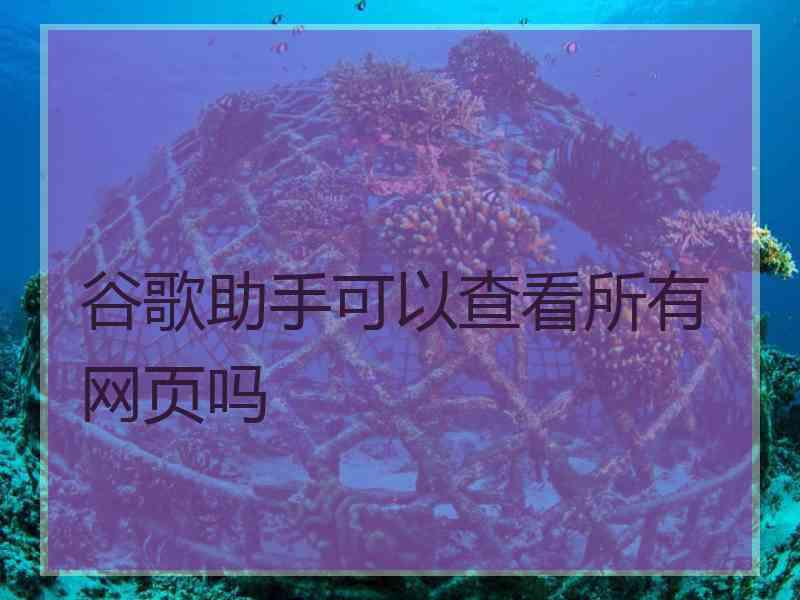 谷歌助手可以查看所有网页吗