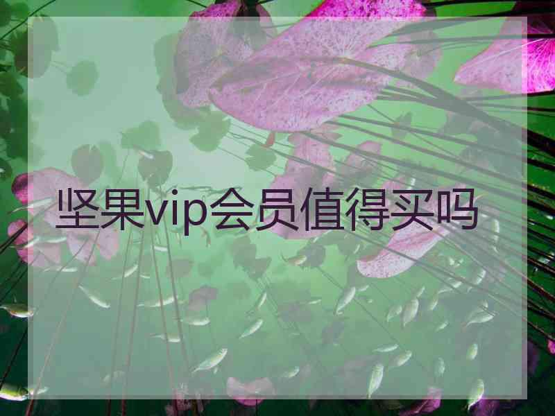 坚果vip会员值得买吗