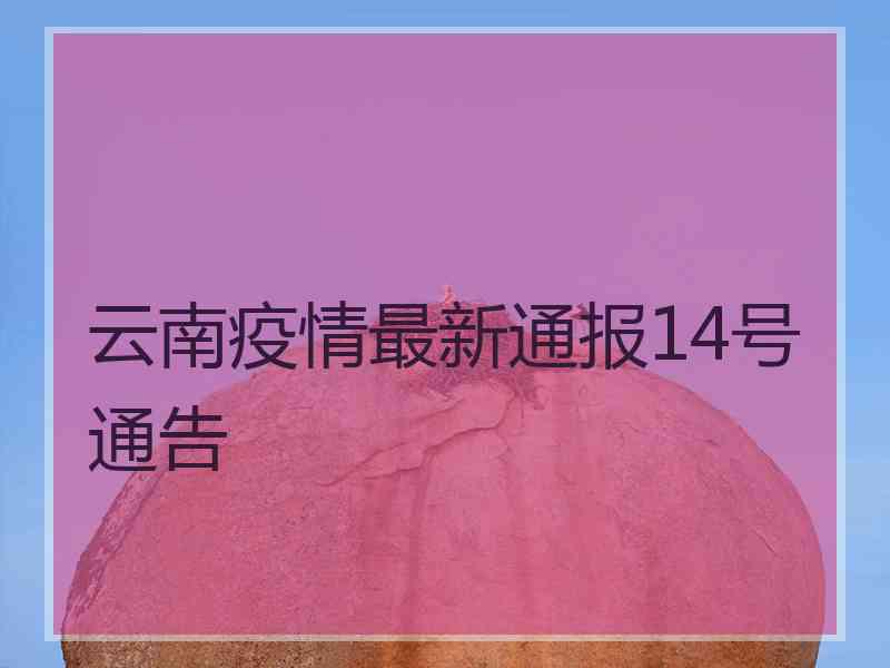 云南疫情最新通报14号通告