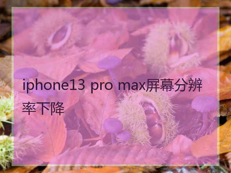 iphone13 pro max屏幕分辨率下降