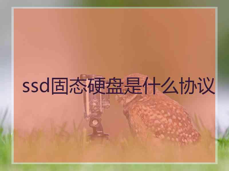 ssd固态硬盘是什么协议