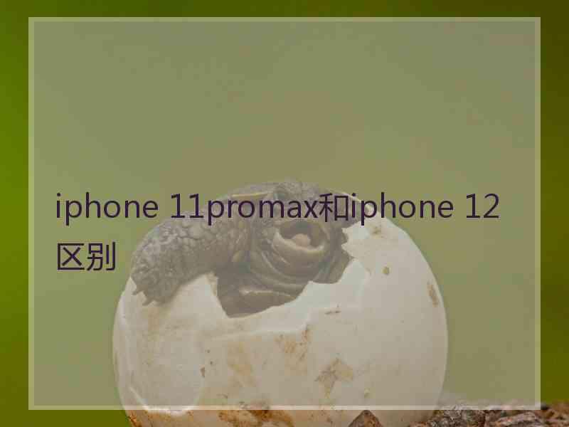 iphone 11promax和iphone 12区别