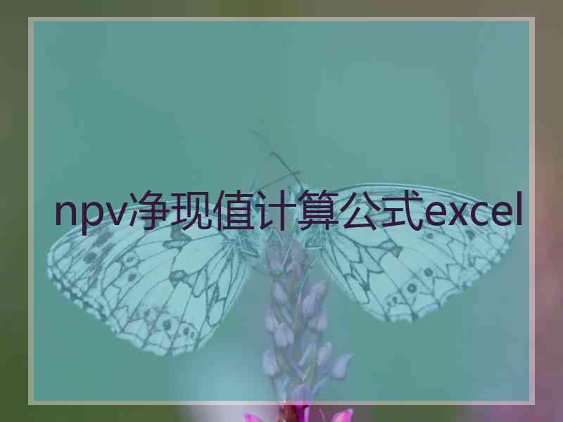 npv净现值计算公式excel