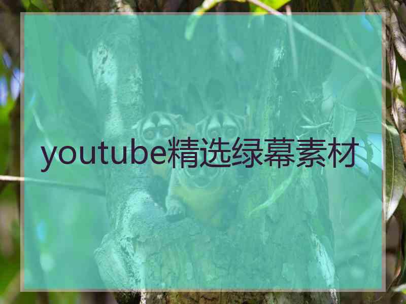 youtube精选绿幕素材