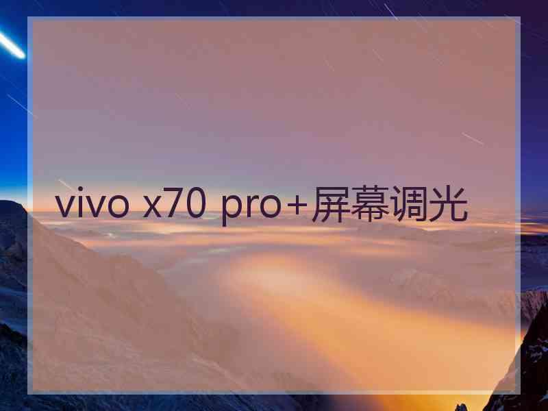 vivo x70 pro+屏幕调光